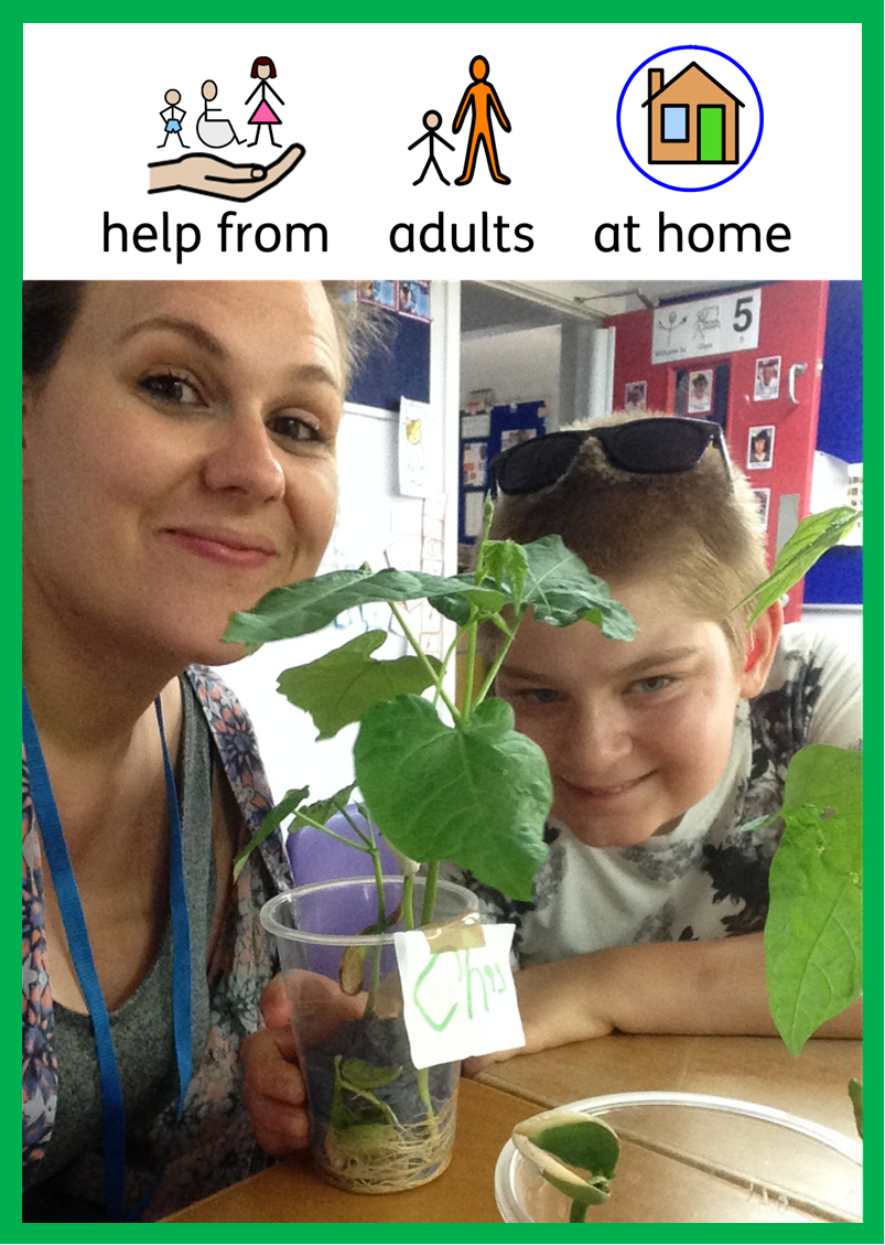 Help From Adults at Home